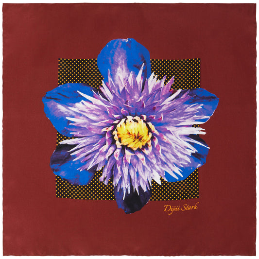 Nikkie - Smiling Dahlia